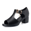 Sandália Feminina Confortável - Charme ( Promoção Pré Natal)